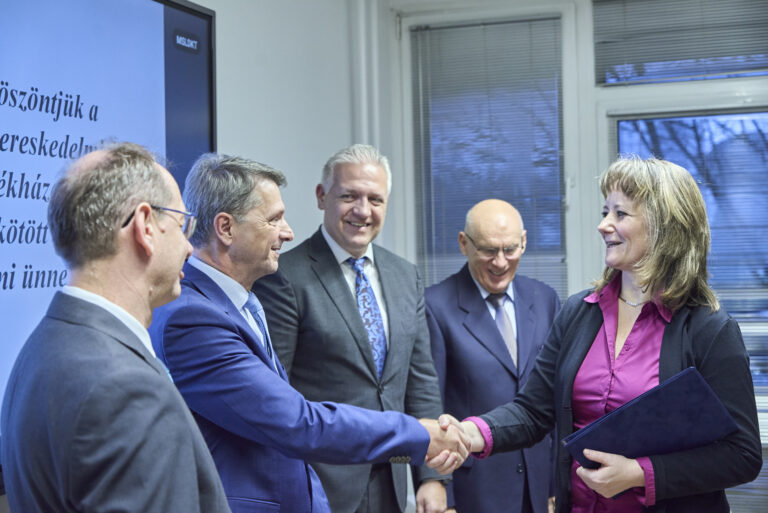 All rights reserved by Gabor Goor