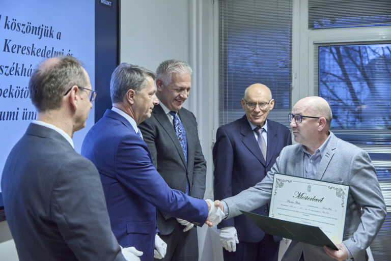 All rights reserved by Gabor Goor